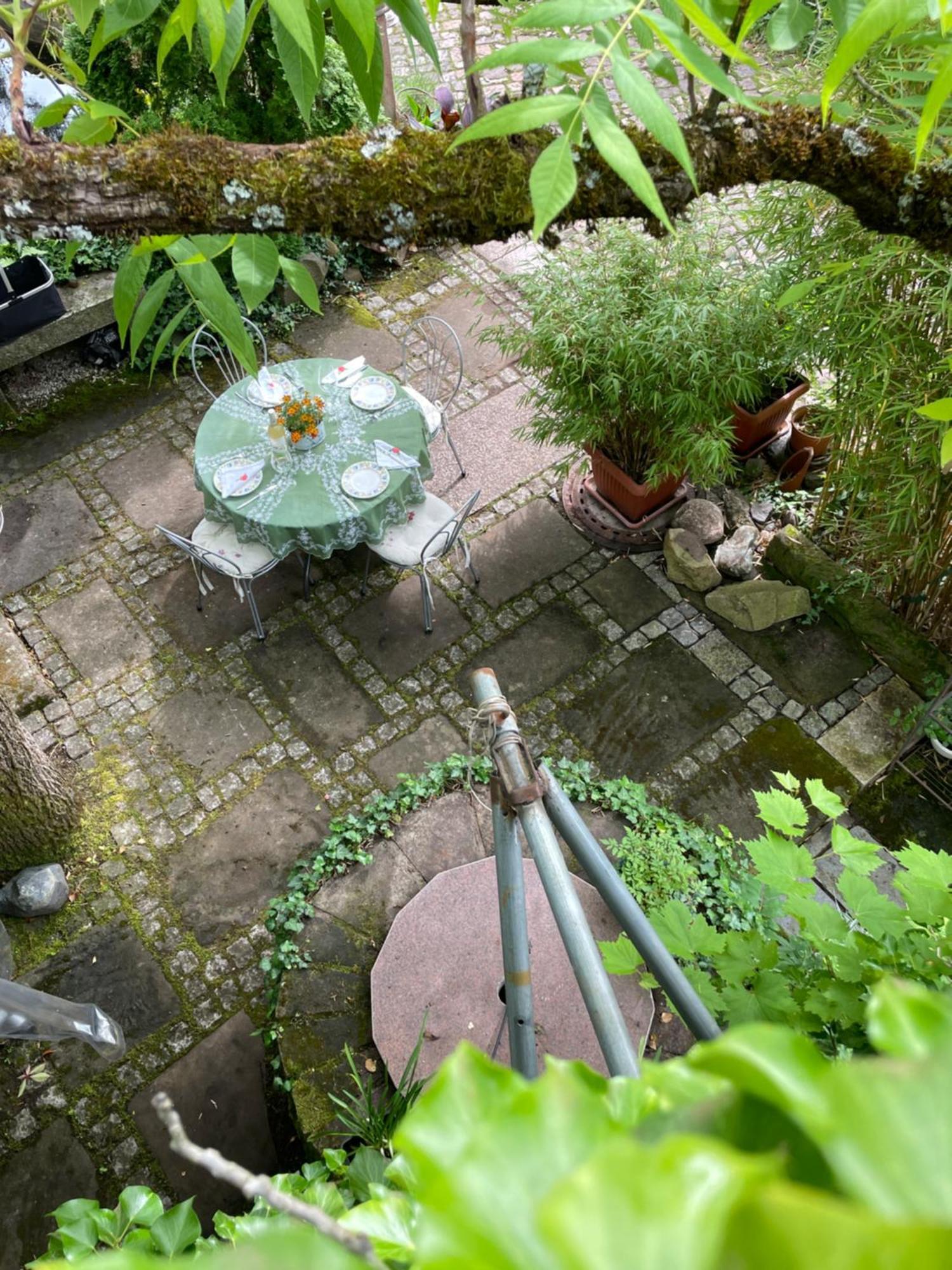 Appartement "El Patio" Am Donnersberg à Dannenfels Extérieur photo