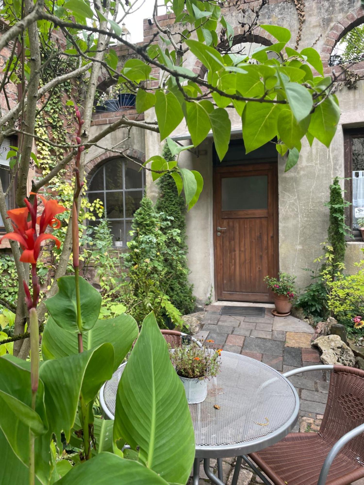 Appartement "El Patio" Am Donnersberg à Dannenfels Extérieur photo